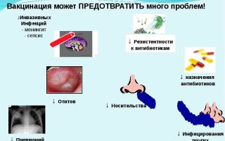 Пневмококковая инфекция: симптомы, лечение, прививки