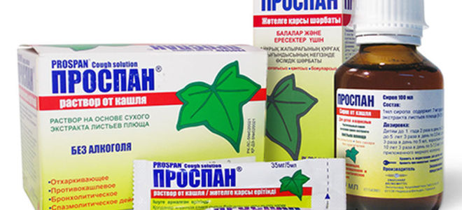Проспан – натуральное средство при кашле
