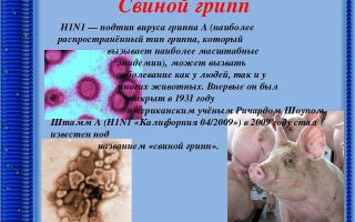 Свиной грипп или пневмония, вызванная вирусом свиного гриппа