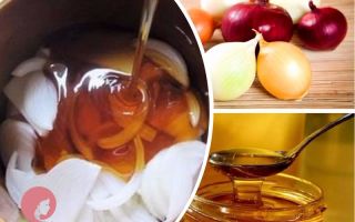 Лук и мед как средство от кашля