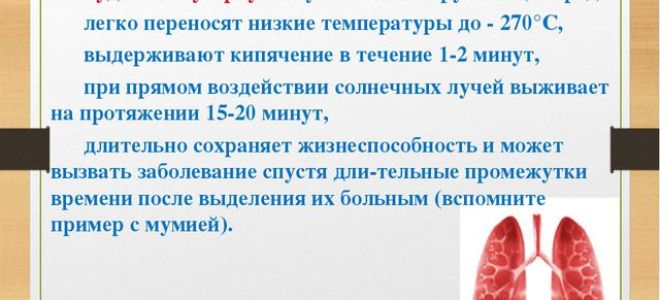 Все, что нужно знать родителям о первой пробе манту