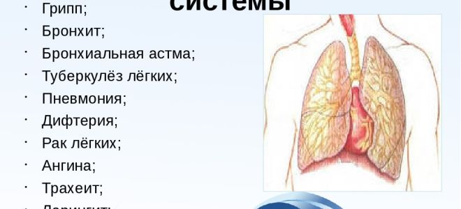 Патологии дыхания: о чем свидетельствуют и как предупредить их развитие?