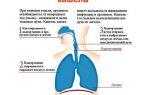 Причины и способы лечения кашля на вдохе